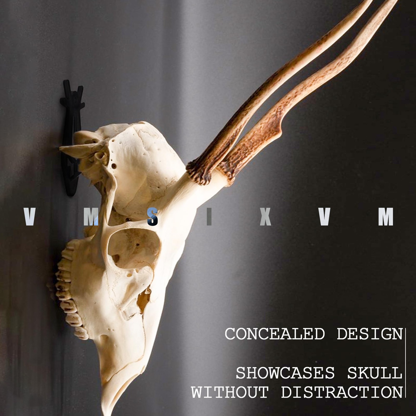 VMSIXVM European Mount Skull Hanger, Medium – 4″ L, Black, Deer Style